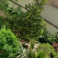 ونک ۱۸۰متر ۳خواب