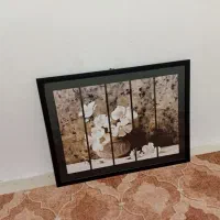 تابلو|تابلو، نقاشی، عکس|شیراز, نصرآباد|دیوار