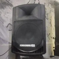 جفت باند اکتیو اکوچنگ ۱۵ اینچ حرفه ای درحدنو قسطی