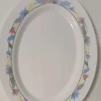 دیس ارکوپال فلور فرانسه فلور