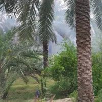 نگهبان و کارگر باغ به صورت شبانه روزی