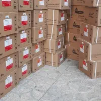 آبگرمکن دیواری بوتان مدل 4115 توربو