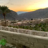 محل پرورش ونگهداری پرنده (قناری،کاسکو،وغیره)|فروش زمین و ملک کلنگی|کازرون, |دیوار