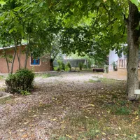 اجاره کلبه ویسر|اجارهٔ خانه و ویلا|کجور, |دیوار