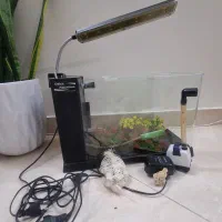 آکواریوم شیشه خم شرکتی دلسا