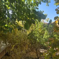 باغ چهاردیواری قلعه سفید|فروش خانه و ویلا|نجف‌آباد, قلعه سفید|دیوار