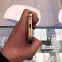 Iphon 16pro|موبایل|تهران, ولنجک|دیوار