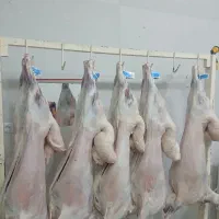 بره کبابی ۱۴۰۰