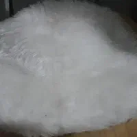 کلاه