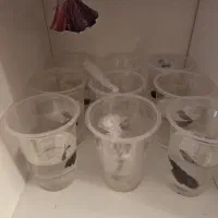 فایتر دو بند