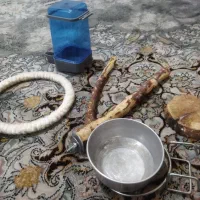 لوازم پرنده عروس هلندی