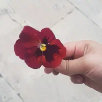 سیمکارت ایرانسل