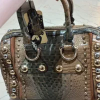 کیف مجلسی