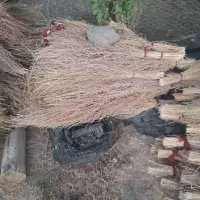 جارو یا گسک
