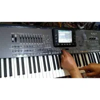 ارگ پیاتری|پیانو، کیبورد، آکاردئون|یاسوج, |دیوار