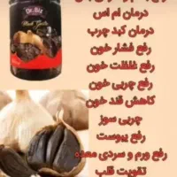 سیر سیاه دکتر بیز «طلای سیاه»