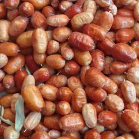 کشمش و سنجد