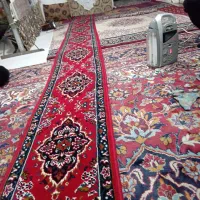 کناره|فرش|بیرجند, |دیوار