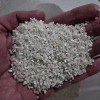 لاشه بسیار تمیز