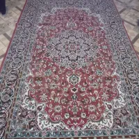 فرش ۶ متری|فرش|بیرجند, |دیوار