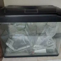آکواریوم در حدنو شرکتی