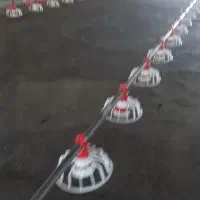 لوازم مرغداری