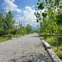 باغ ۴۰۰متری با قابلیت ساخت