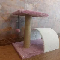 اسکرچر گربه kedipek