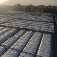 پیمانکاری ساختمان|خدمات پیشه و مهارت|خورموج, |دیوار