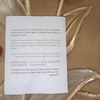 سینی پذیرایی نو