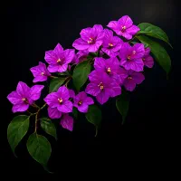 تولید محتوی/ ترجمه/ نویسنده/تایپ