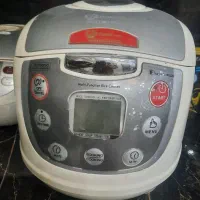 دو عدد پلوپز گاسونیک وفوما ژاپن