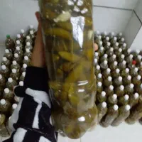 خیار شور تازه وابغوره  ب صورت کیلو وعمده|خوردنی و آشامیدنی|جوانرود, |دیوار