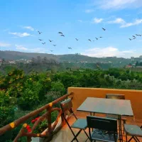 کلبه‌ ویلا با استخر آب داغ  و ویو جنگلی  دربست