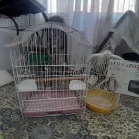 قفس متوسط و بزرگ