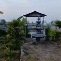 فروش-زمین-قیمت-استثنایی-ساحلی-آماده-ساخت