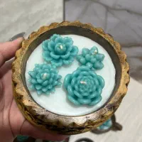 گلدان کاکتوس