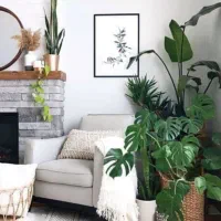 ۴۲ متر تک واحدی در وحیدیه