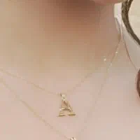 گم شدن پلاک وزنجیر