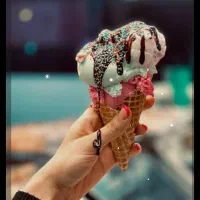 صندوقدار خانم مجرد