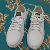 کفش مردانه سایز ۴۳