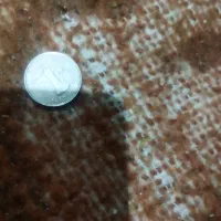 فروش سکه رضاشاه پهلوی|کلکسیون سکه، تمبر، اسکناس|شیراز, گلکوب|دیوار