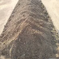 کود گوسفندی حیوانی