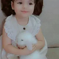 خرگوش لوپ Italian|موش و خرگوش|یزد, |دیوار
