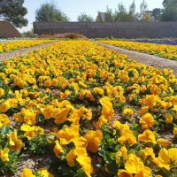 خدمات باغبانی وکشاورزی در شهریار کرج تهران