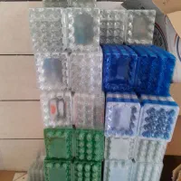 پک تخم بلدرچین