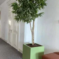 طراحی و ساخت فلاور باکس