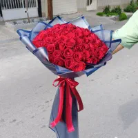رز هلندی فوری در مشهد