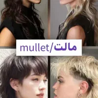 کوتاهی مو|خدمات آرایشگری و زیبایی|رشت, دیلمان|دیوار