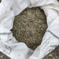 کاه یونجه|لوازم جانبی حیوانات|شیروان (خراسان), |دیوار